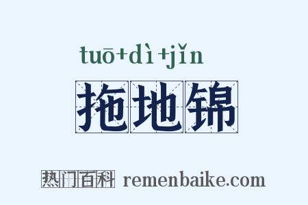 拖地锦是什么意思的图片